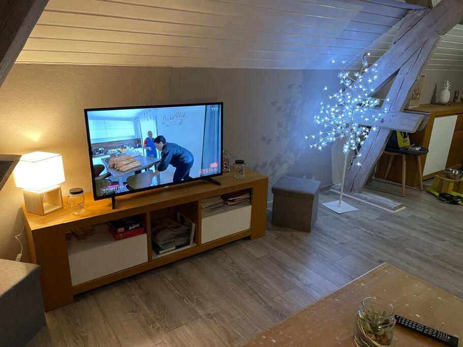 Loft Avec Jardin Apartman Corcieux Kültér fotó