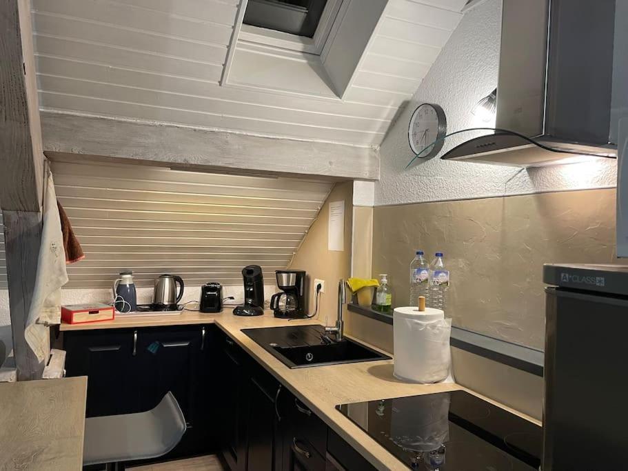 Loft Avec Jardin Apartman Corcieux Kültér fotó